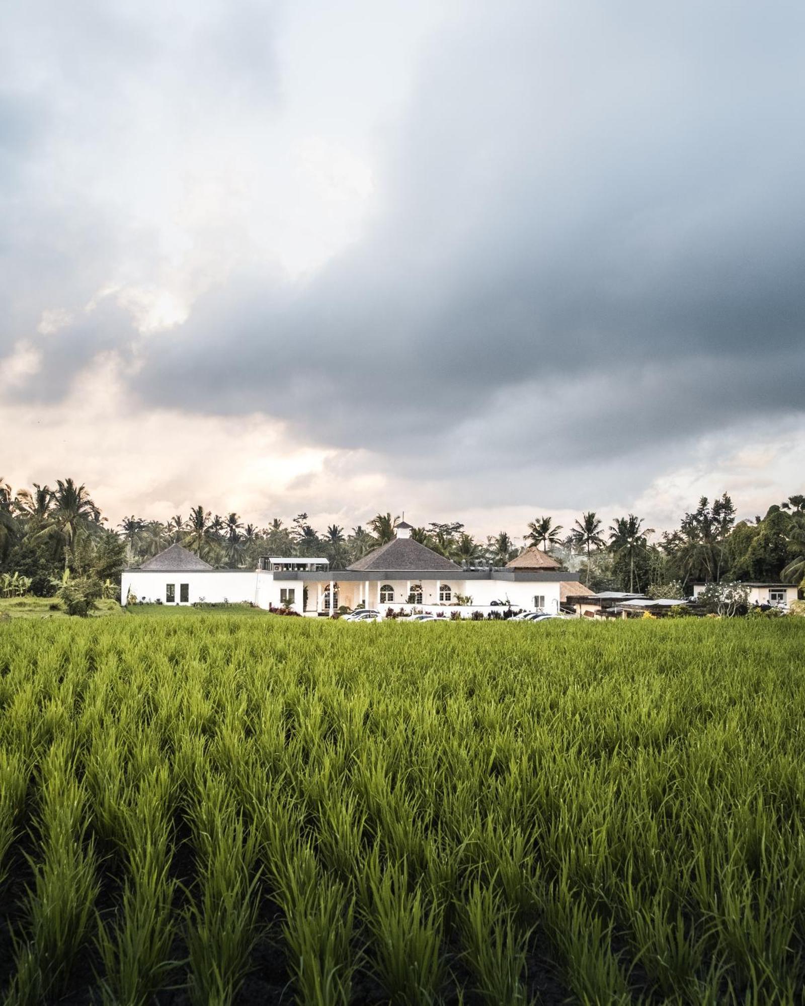 Cascades Suites Ubud  Exterior photo